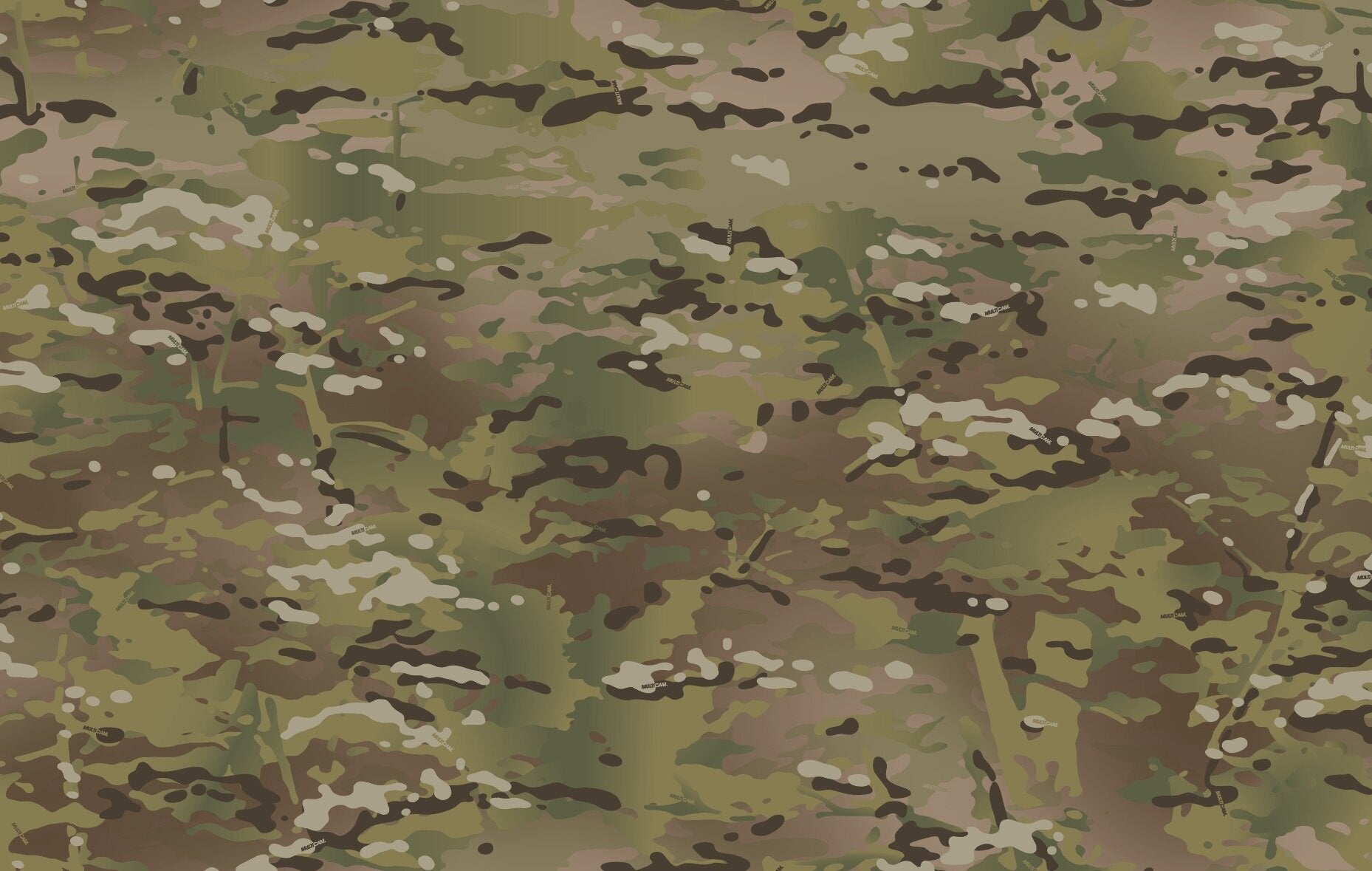 multicam